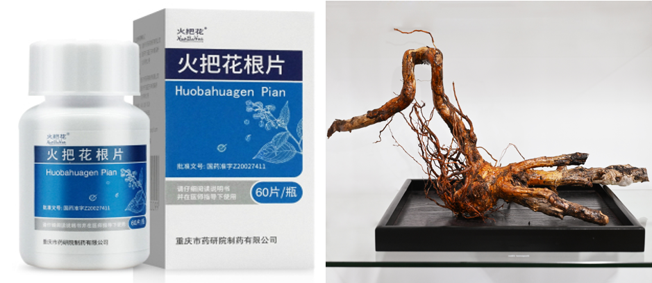 微信图片_20230607100035.png