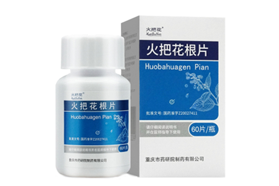 火把花根片